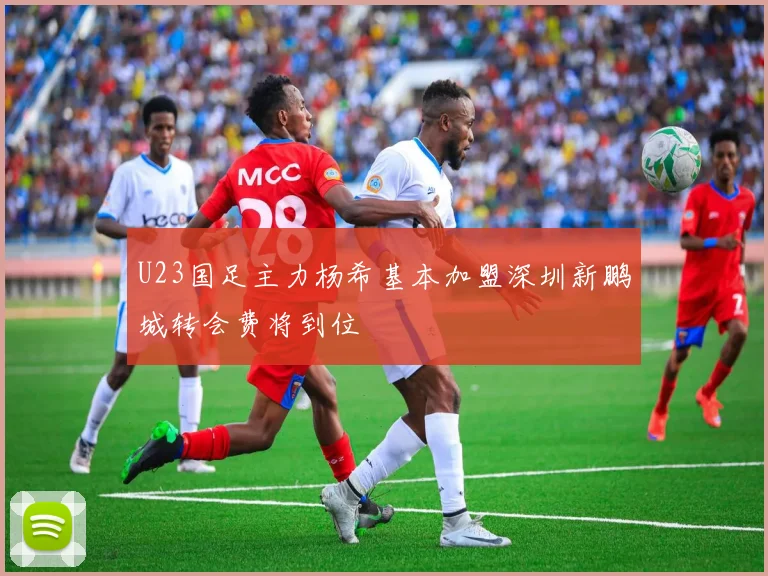 U23国足主力杨希基本加盟深圳新鹏城转会费将到位